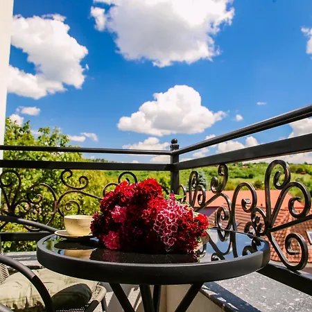 公寓 Lena Pool - 6 *